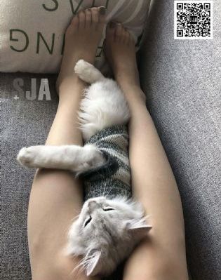 美味快递在线观看